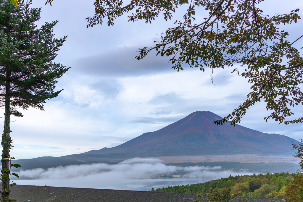山中湖の湖沼霧