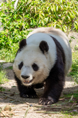 今までありがとう