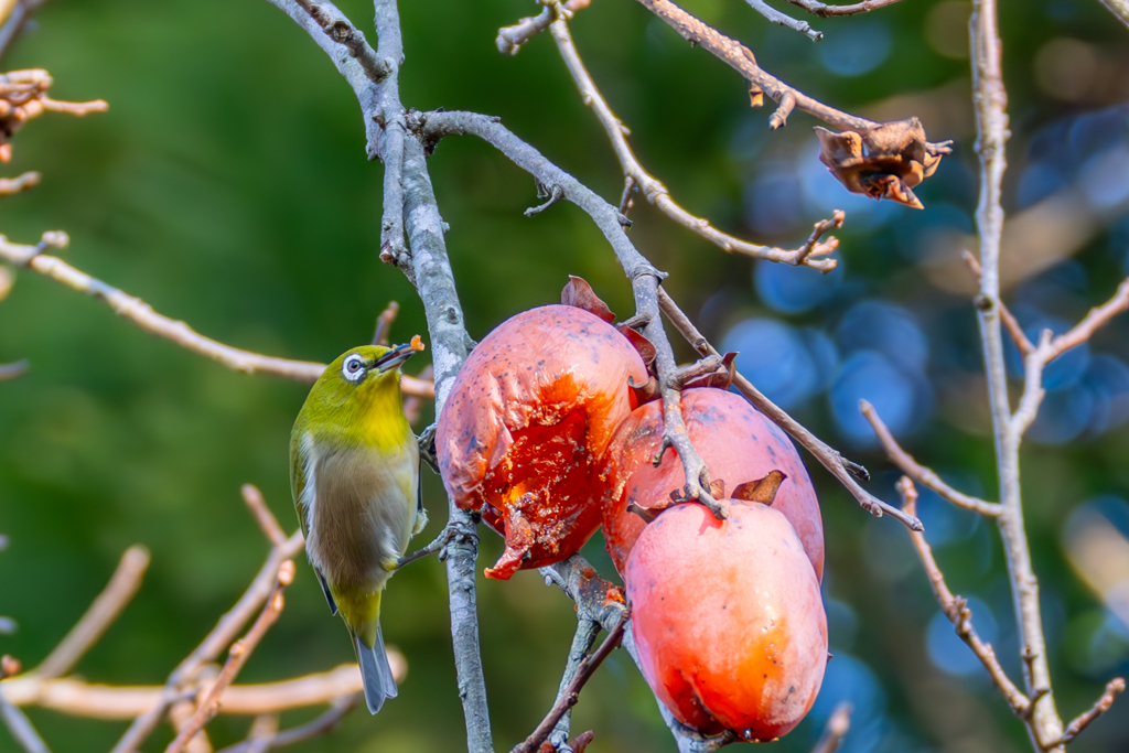 食べきれませ～ん！
