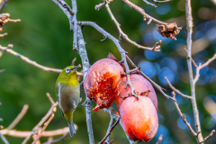 食べきれませ～ん！