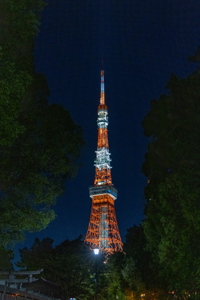 東京の夜