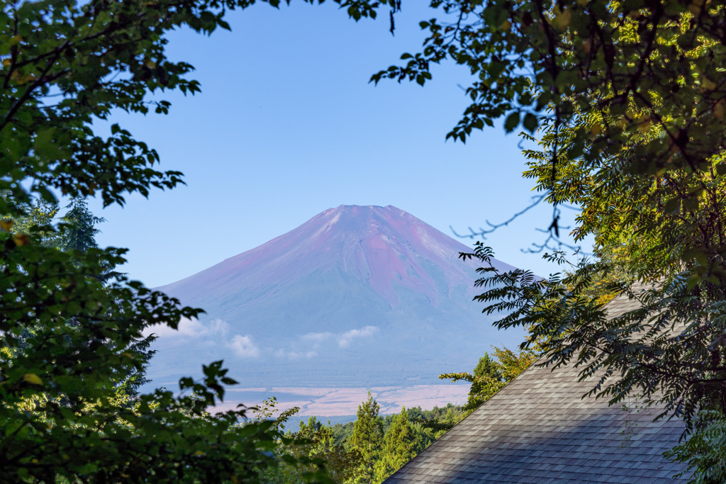 Mt. Fuji in green frame