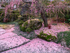 花絨毯