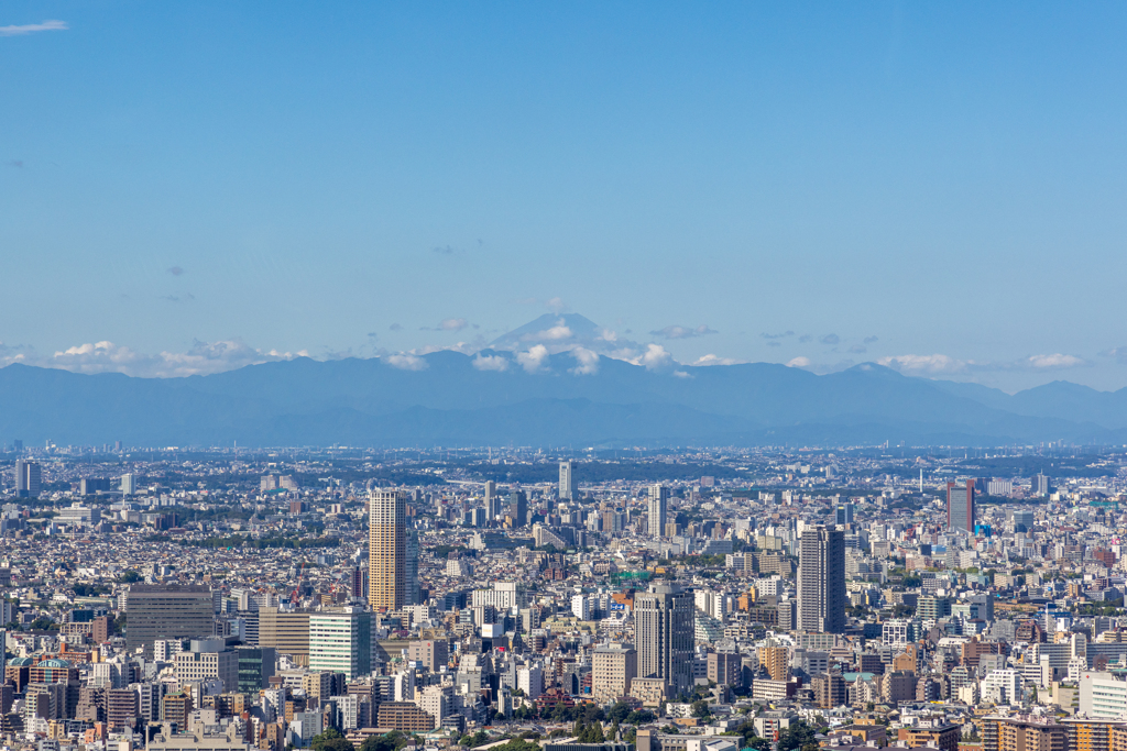 東京タワートップデッキから