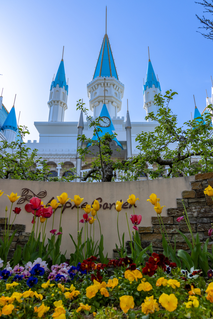 Flower and Castle