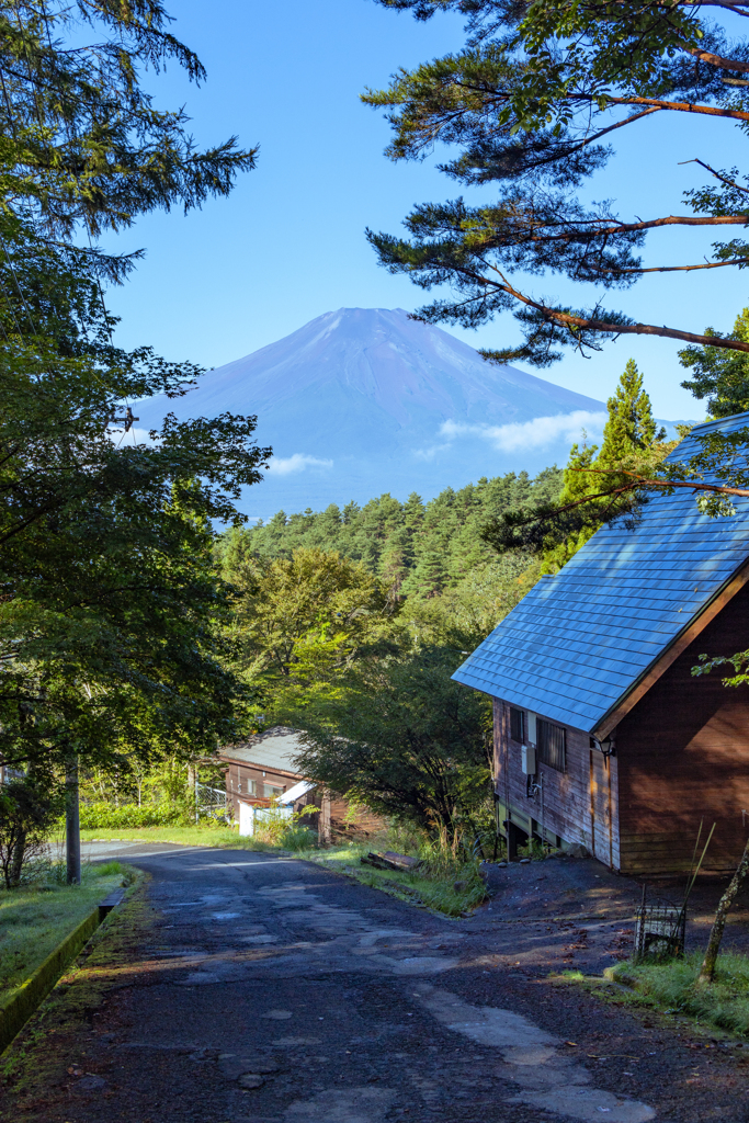 富士山見える散歩道