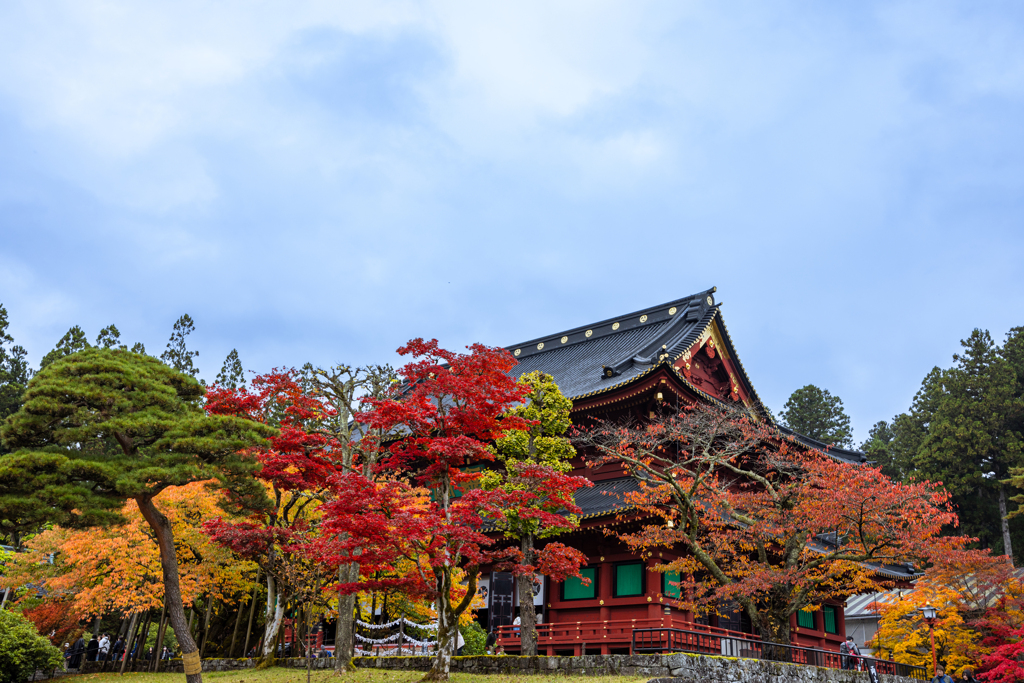 Colorful autumn
