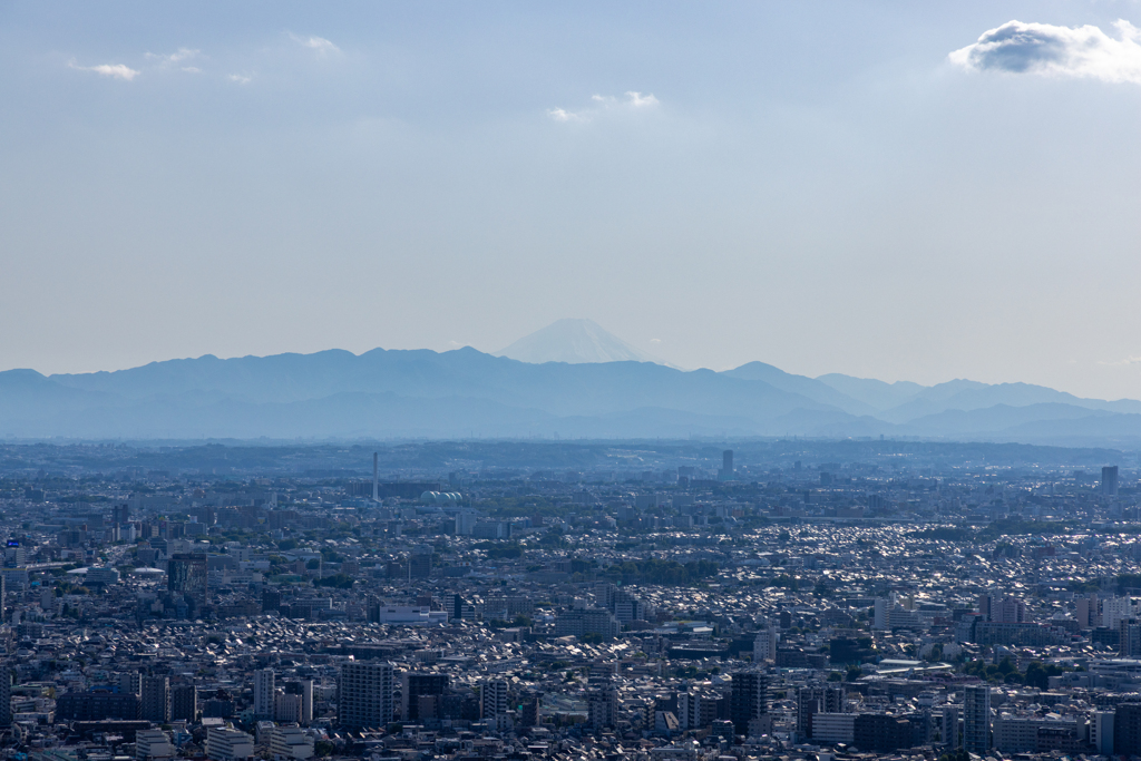 Can you see the Mt. Fuji?