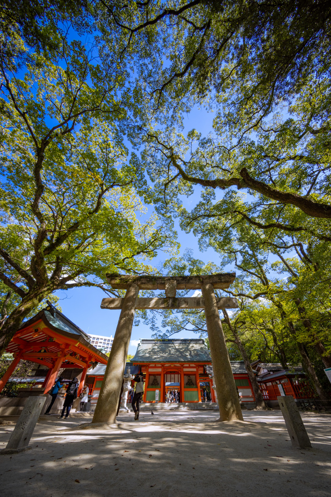 都会の神社