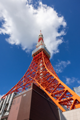 Smoking Tokyo Tower