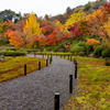 紅葉の細道