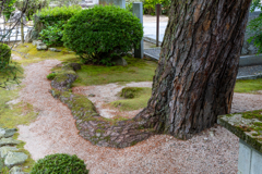どこ行くの？