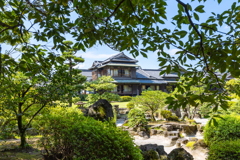 木々の向こうに