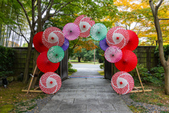 Umbrella gate