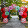 Umbrella gate