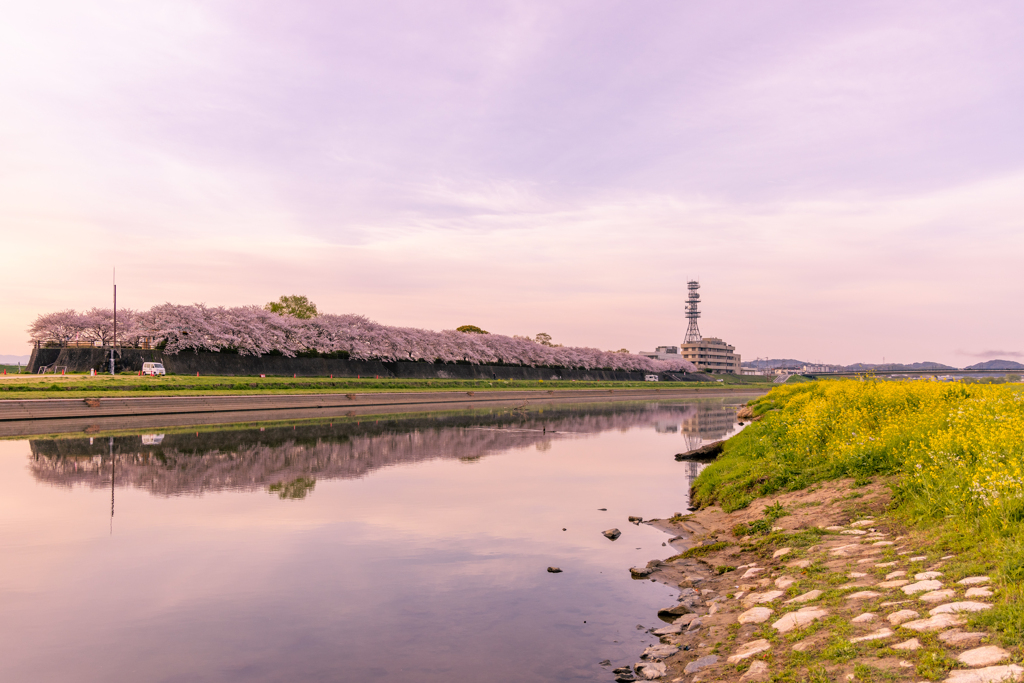 遠賀川の朝
