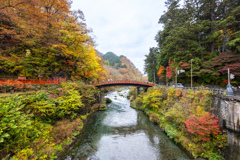 日光の秋