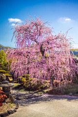 春の陽気に誘われて
