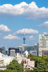 とある場所から