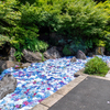 アジサイ花手水