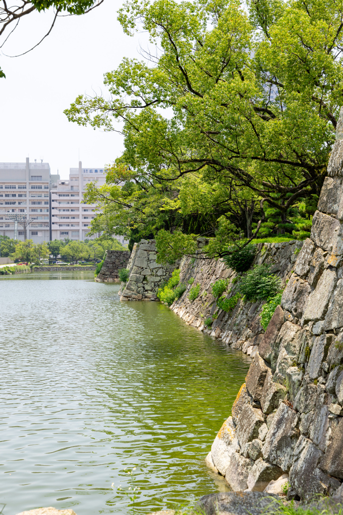 広島城お堀の石垣