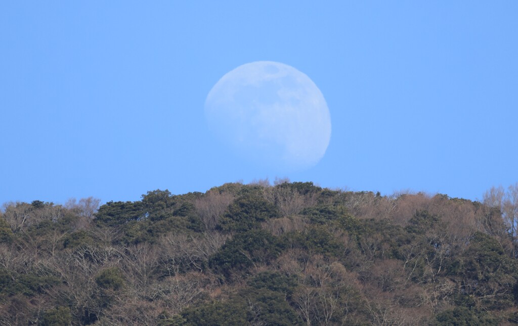 ♪月がぁ～出た出たぁ～月がぁ出たぁ～♪