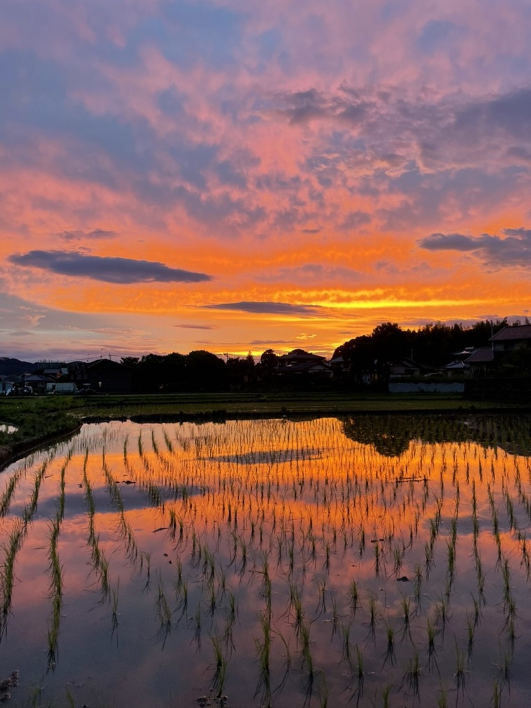 ある日の夕焼け