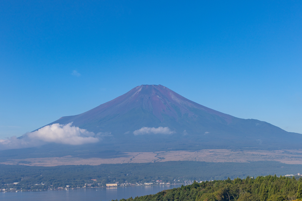 山中湖高台からの富士山