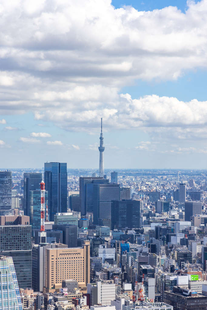 東京タワーから