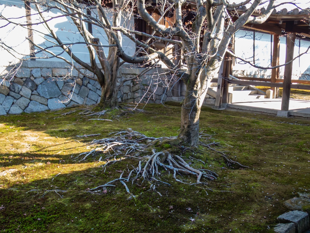 地に足をつけて