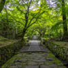 Green Tunnel