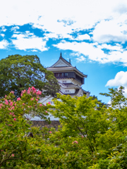 城とサルスベリ