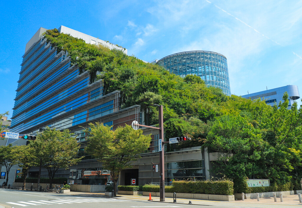Green Roof