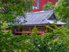 木々の緑に囲まれて