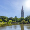 新宿御苑日本庭園