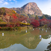 晩秋の御船山楽園