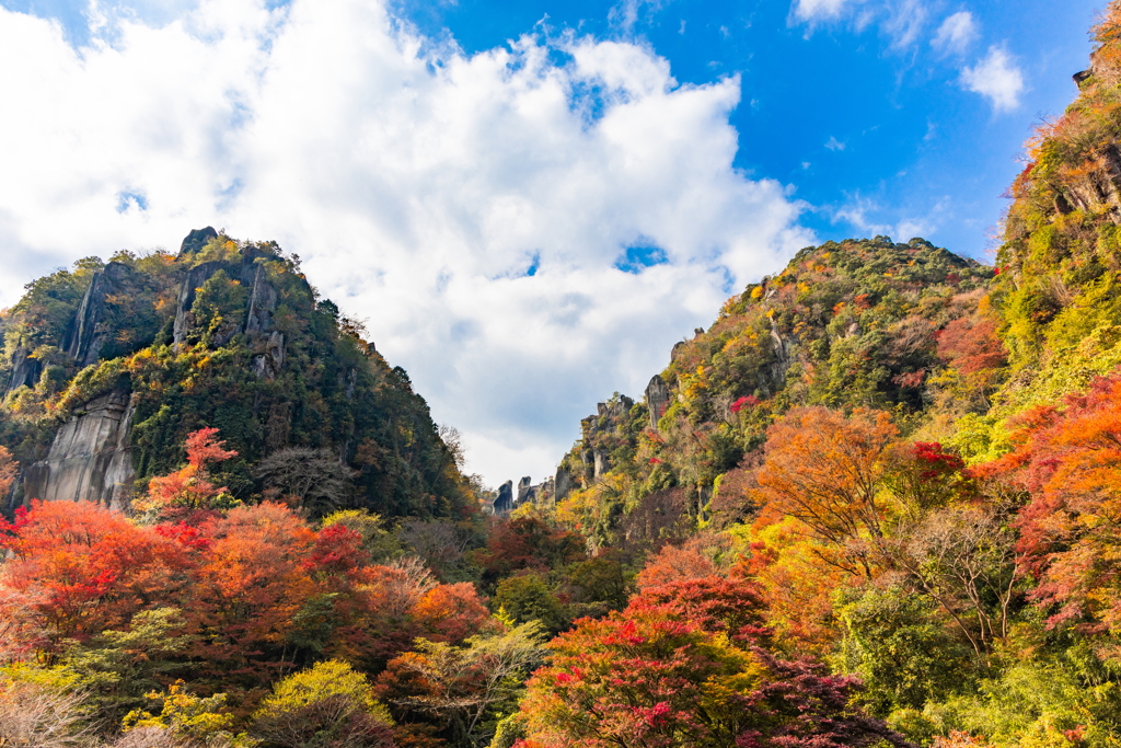 一目八景