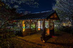 ライトアップの四阿