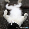 ねころんで