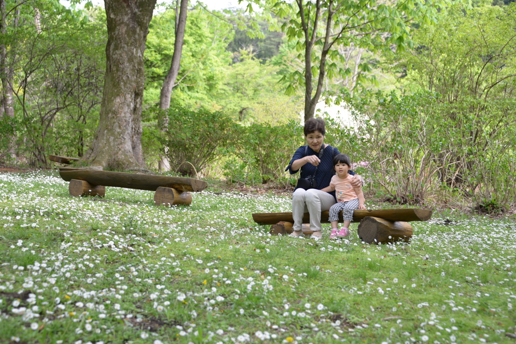 秘密の花園