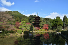 瑠璃光寺_紅葉