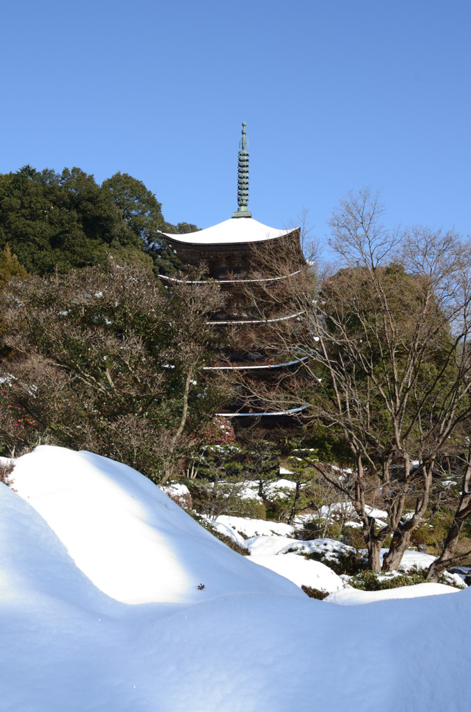 瑠璃光寺_冬