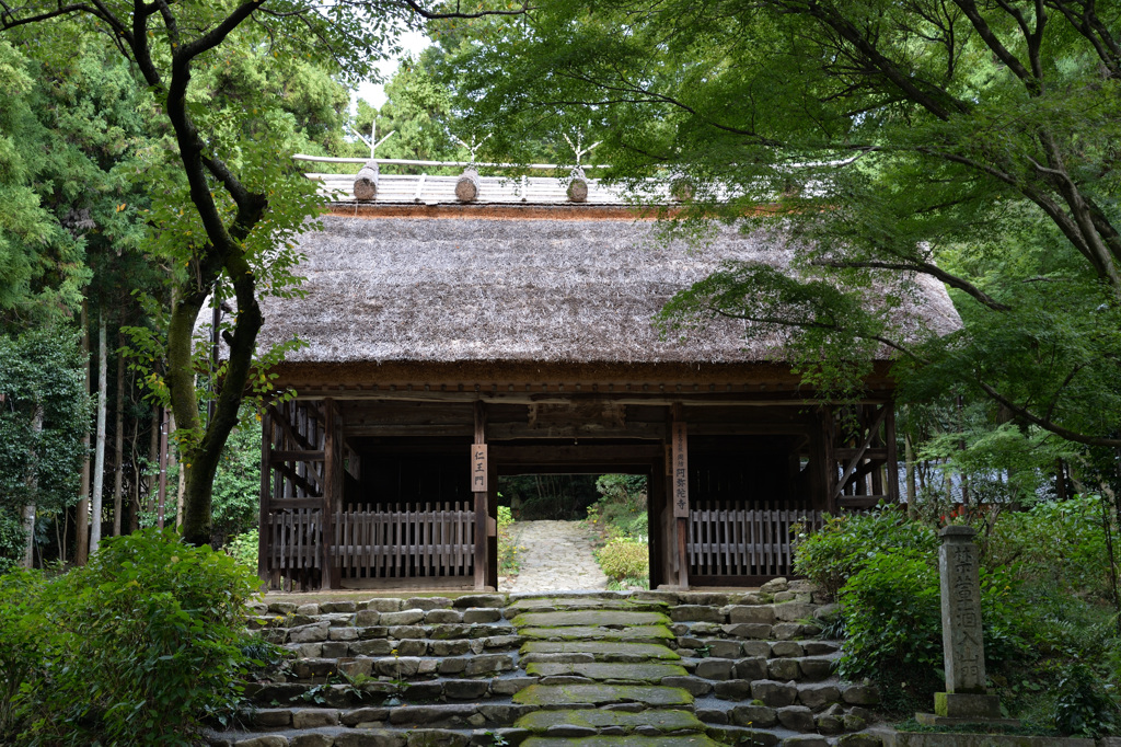 周防 阿弥陀寺_01