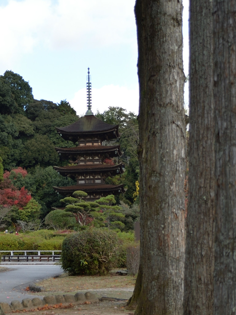 瑠璃光寺_秋