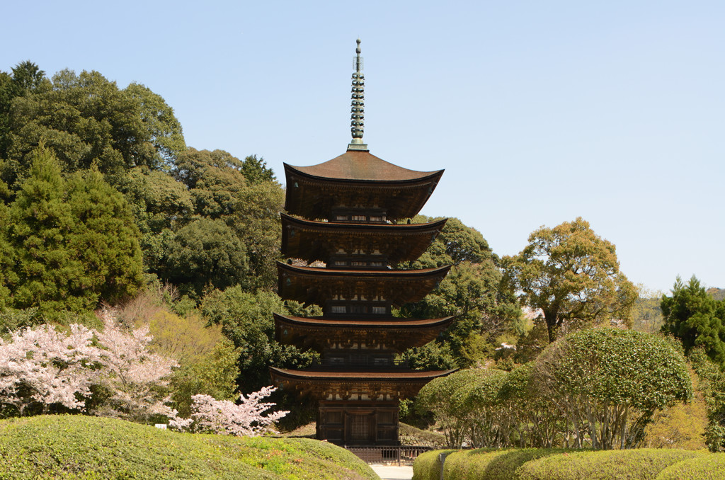 瑠璃光寺_春