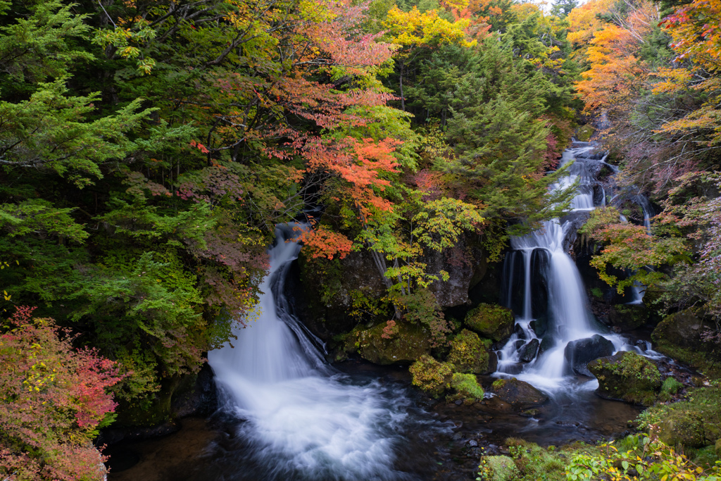 日光の紅葉