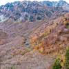 山の錦