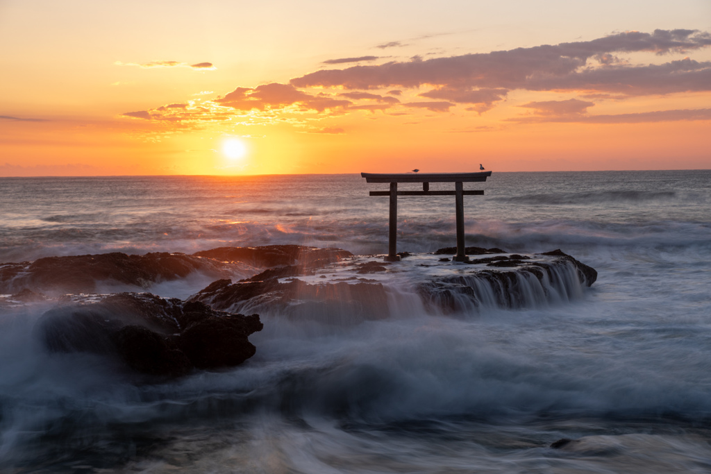 朝日を浴びて