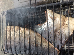 と、言う事で。