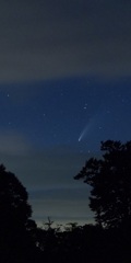 ネオワイズ彗星